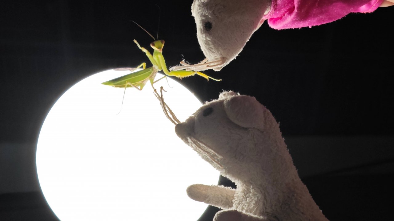 Худыша и Бушой встретили ОГРОМНОЕ НЕОБЫЧНОЕ СУЩЕСТВО