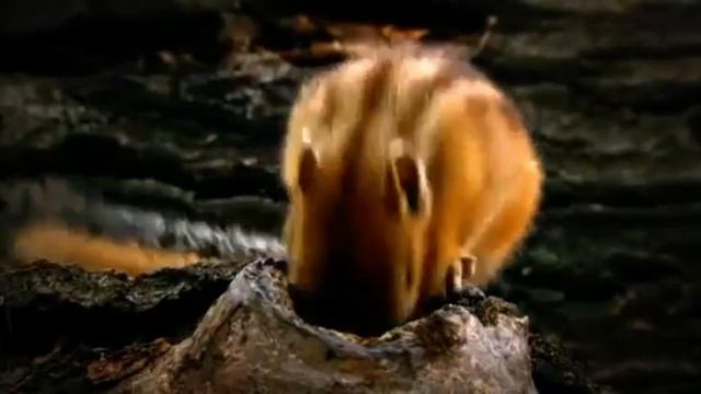 ВОТ РАДОСТЬ!