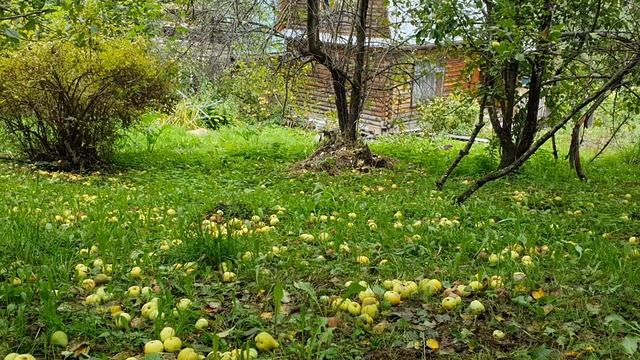 Любовь - то огнь зажжённого костра...