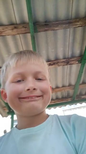 л