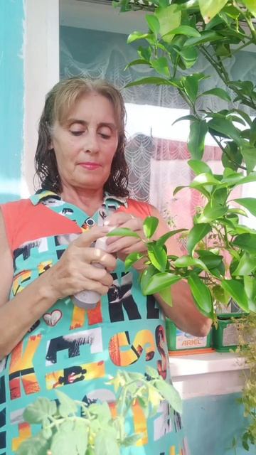 Мой уход за волосами