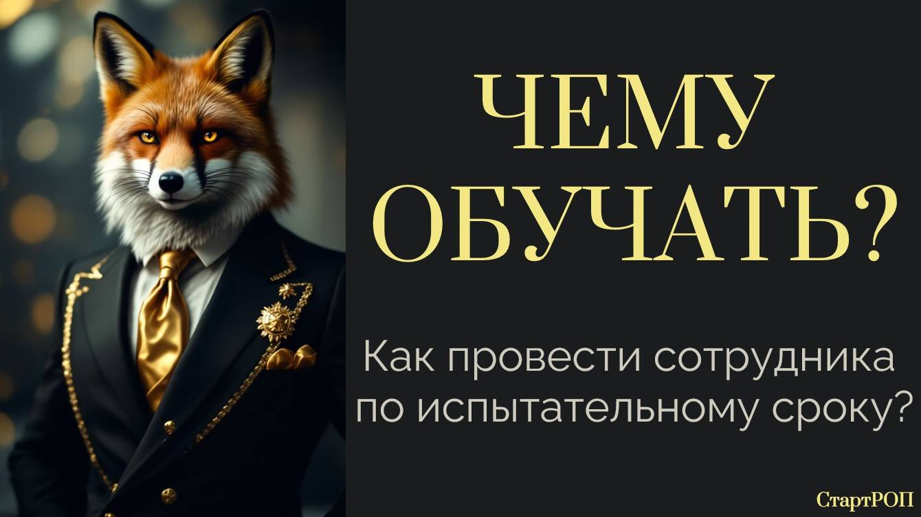 Как пройти испытательный срок без ошибок?