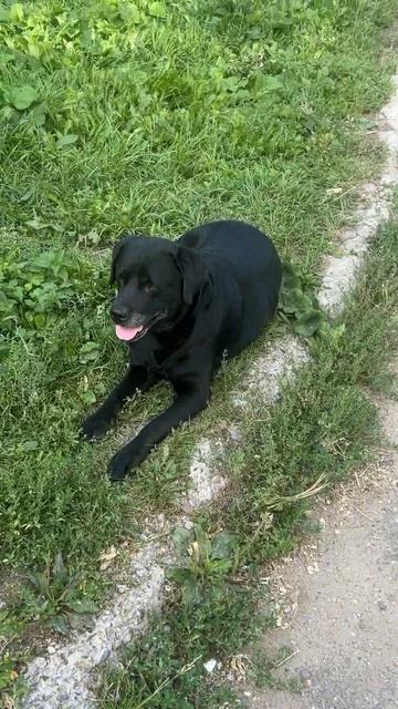 Уля и Лана anzl.ru на прогулке