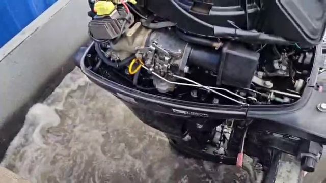 Tohatsu MFS20D (022552AE)