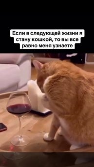 Вы всё равно меня узнаете 😁