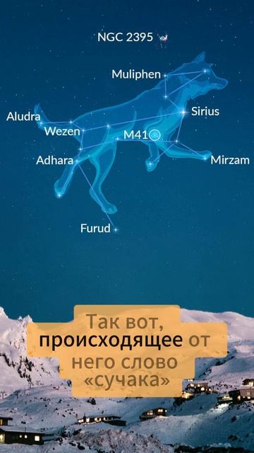 В. В. Леонченко. Звезда Сириус в астрономии #астрономия #астрология #джйотиш #леонченко