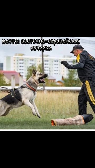 (опоздала с трендом)