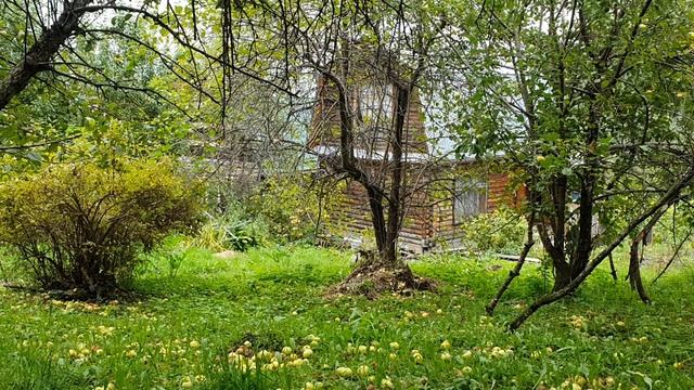 Твой светлый лик я помню до ресничек...