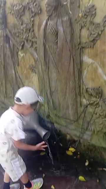 VID-20250819-WA0044.mp4