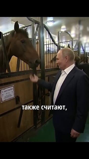 Untitled (10) (1).mp4