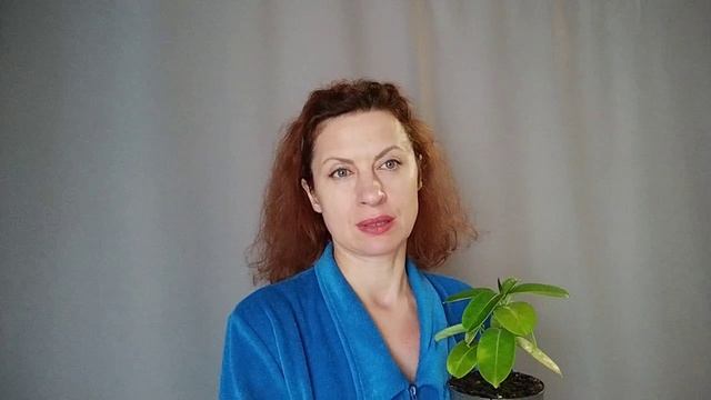 роль Соседка Алиса Гончаренко