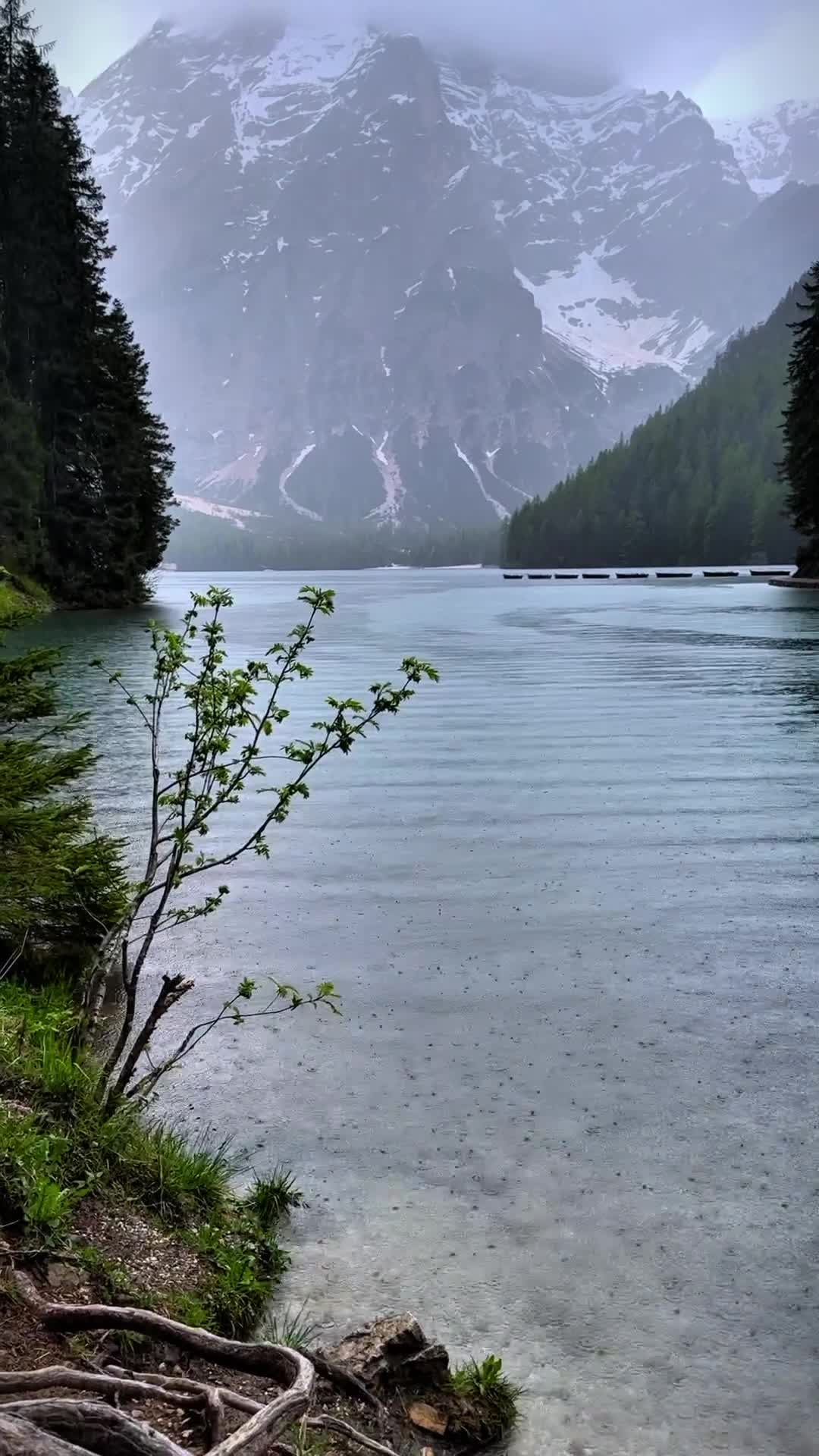 #италия #вода #горы #лес