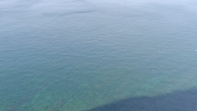 Анапа 20.08.2025 800 ступенек