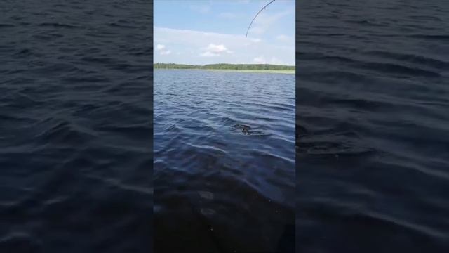 Рыбалка.
