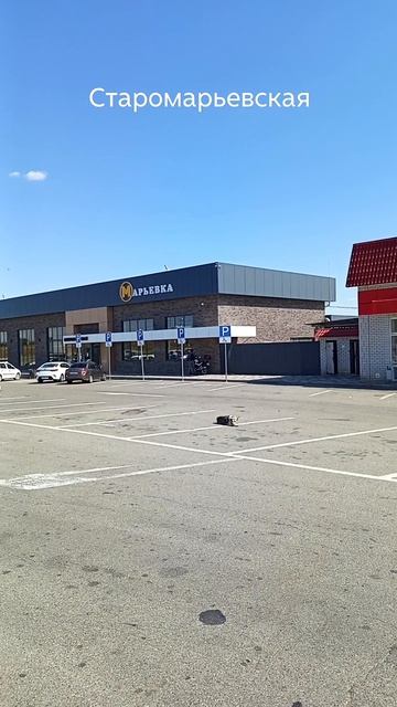 #shorts пирожковая