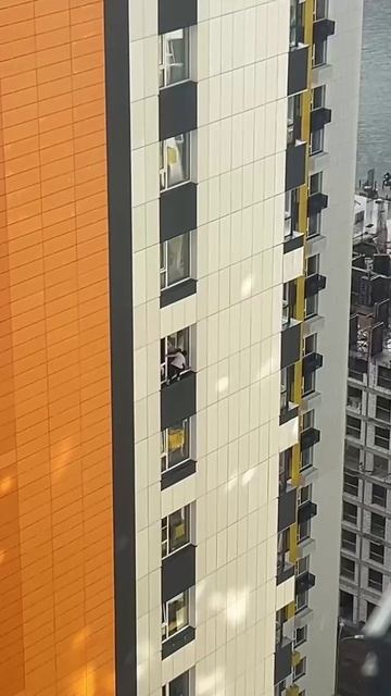 Вот как надо мыть окна😂