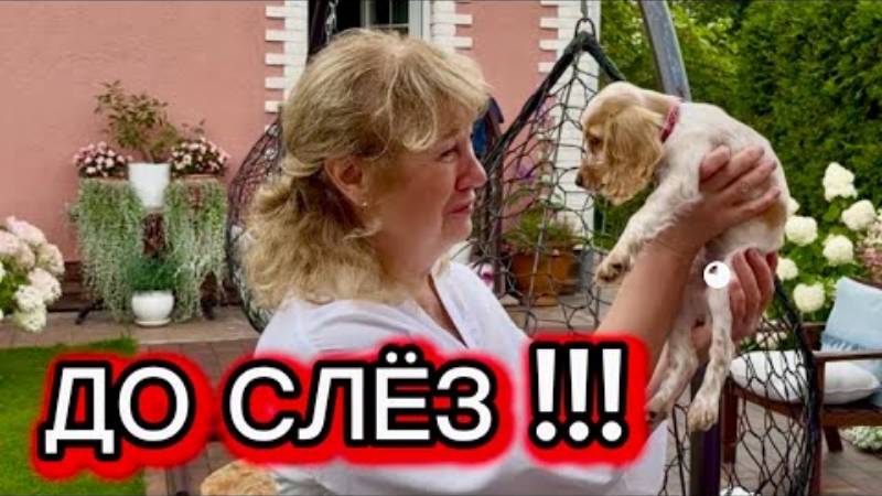 Андрей с Алёной. ПОДАРИЛИ РОДИТЕЛЯМ СОБАКУ. ВСТРЕЧАЕМ АНЕЧКУ. ЗАБРАЛИ ШТОРЫ. ГОТОВИМ ЧЕБУРЕКИ