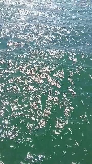 🛥Лермонтово🌊 💦август 2025✨