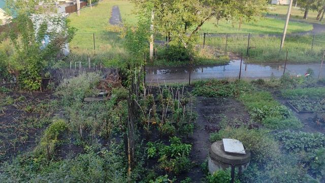 Летний августовский день в деревне после дождя