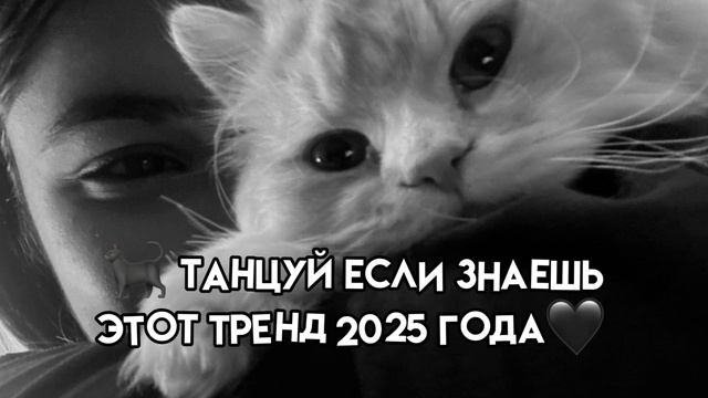 🐈танцуй если знаешь этот тренд 2025 года🖤