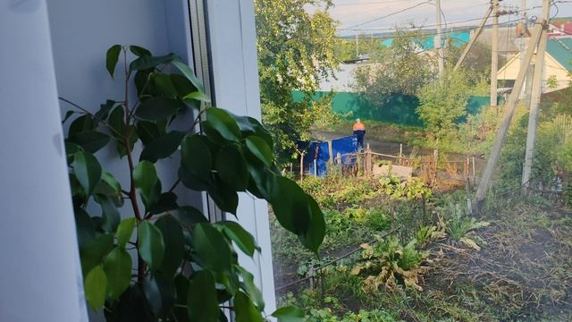 Деревенский уют, комнатные цветы на окне, деревенская атмосфера