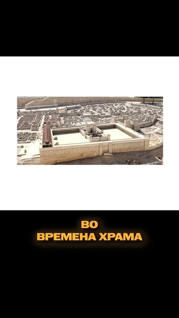 МОРАЛЬНЫЕ ДИЛЕММЫ: ПИРАТЫ И ИУДАИЗМ! #shorts #shortvideo #pirates #jewish #spain #cartoon #history