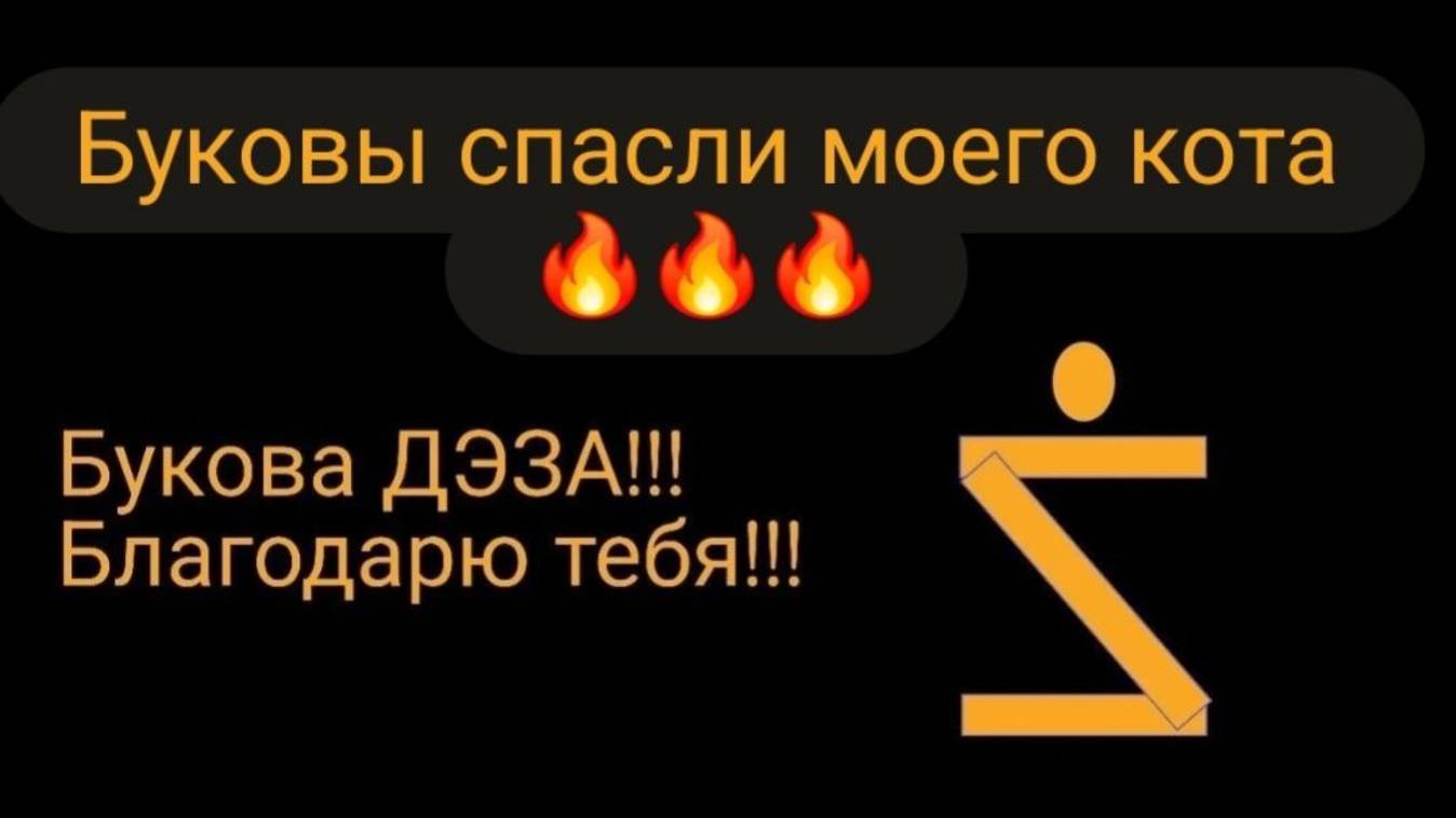 Буковы спасли моего кота. #магия #буковы #омеж #дэза #курсбуковы #всеясветнаяграмота