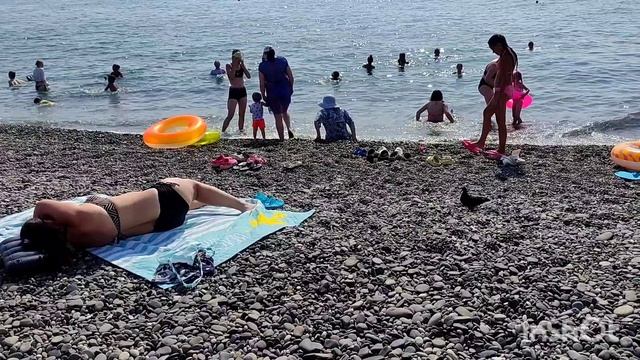 Первый день на море / Адлер