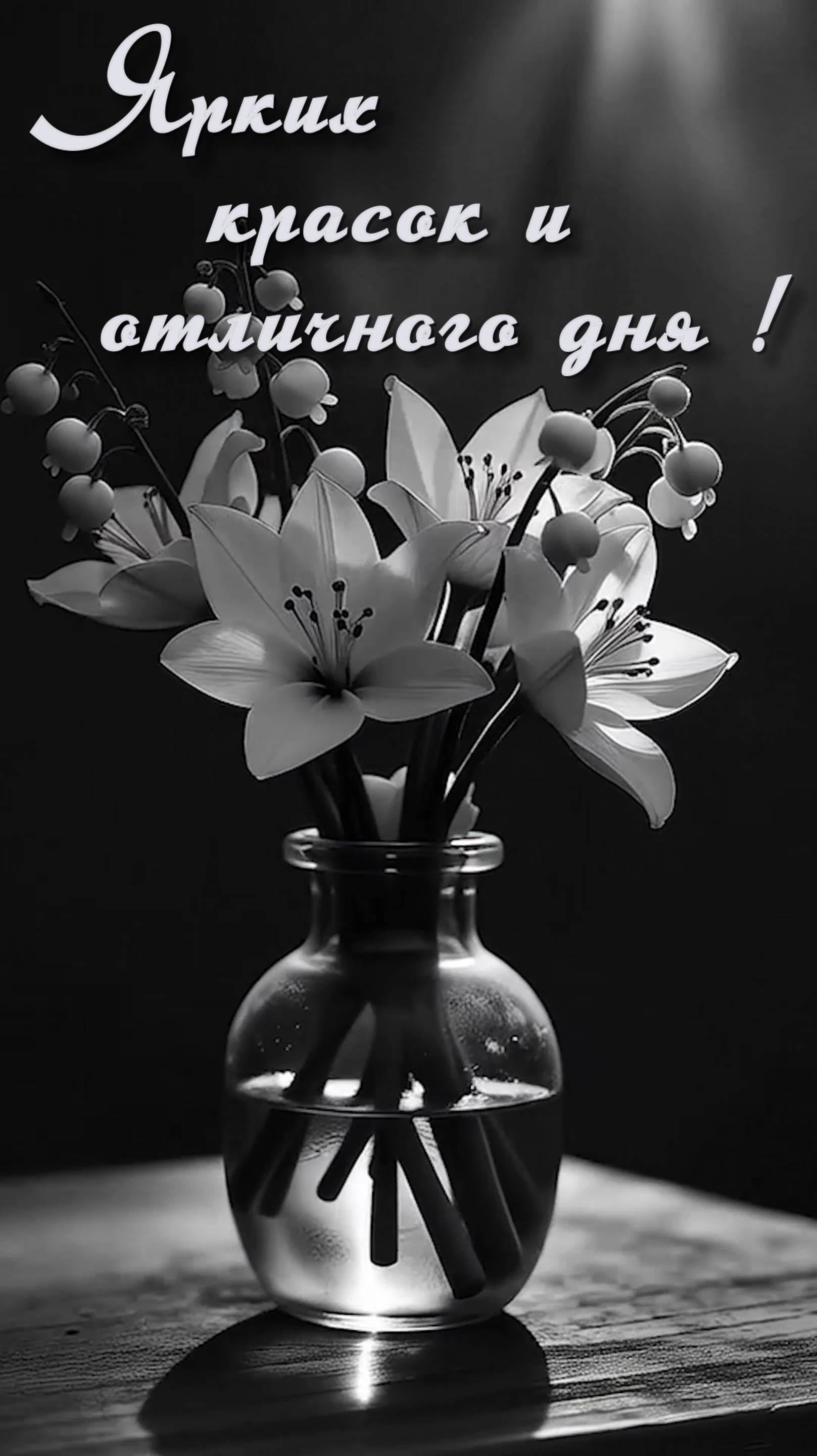 Отличного дня !