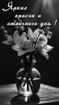 Отличного дня !