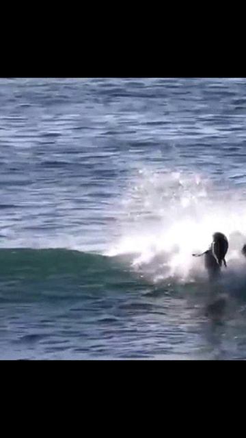 Такого я еще не видел!!! Выпуск№4