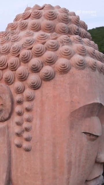 Тибет, Индия, Непал, Бутан и другие страны уже ждут тебя ✈️