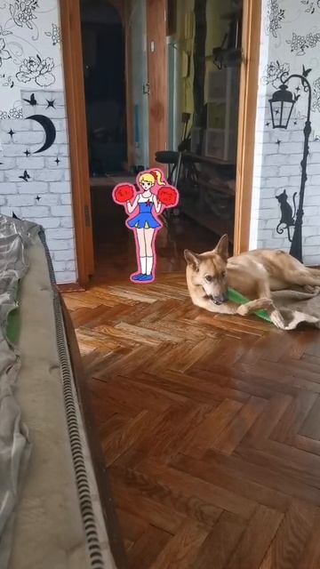 Тренировка прошла отлично!