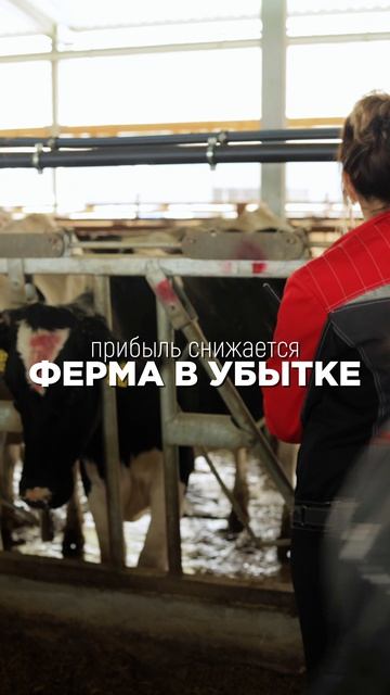 Знаете ли вы реальную цену стельности?💵