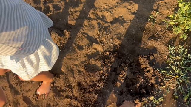 Грязные танцы