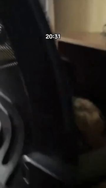 Свято место пусто не бывает