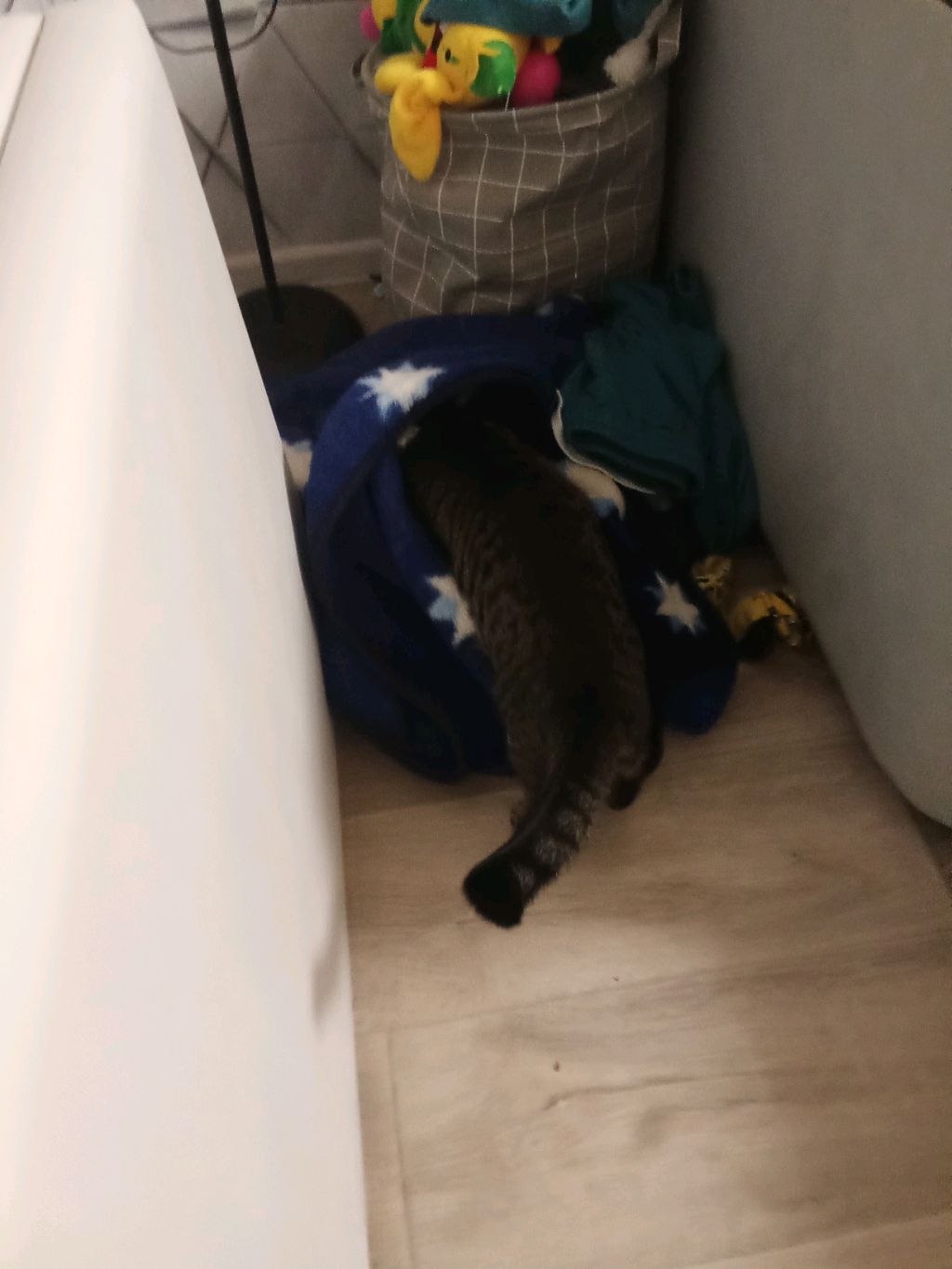 ЭФИР ЧЕК 🤟