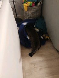 ЭФИР ЧЕК 🤟