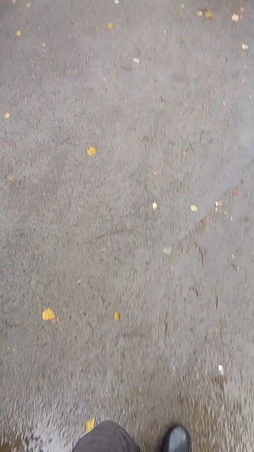 гулять по лужам