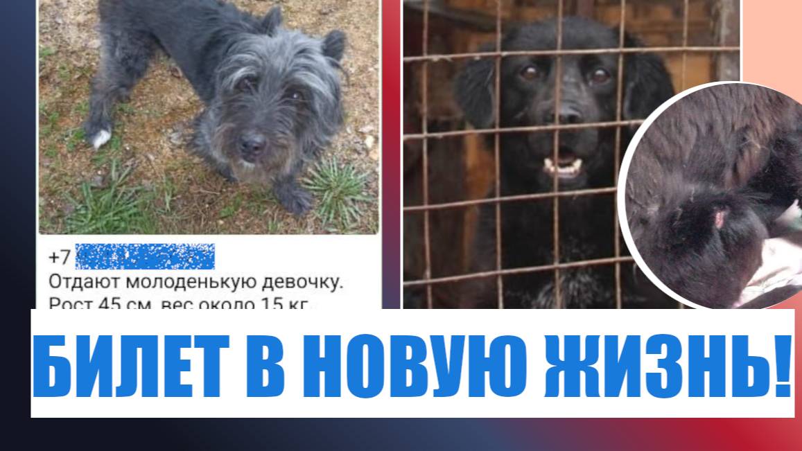 Его спас наш видеоролик! Такого у нас ещё не было!