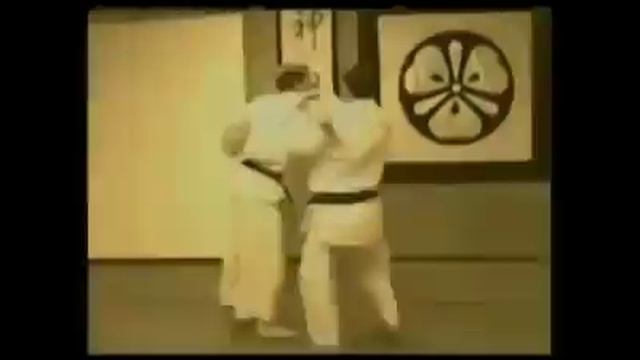 Катабами Джиу-Джитсу доджэ. Древний самурайский клан