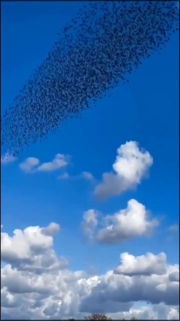 Красота Ставропольского края 🌻