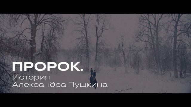 Ночь кино 2025