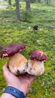 Ох, красота-то какая Тверская глубинка!