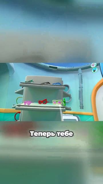 Милый енот с очечами и новым ошейником!