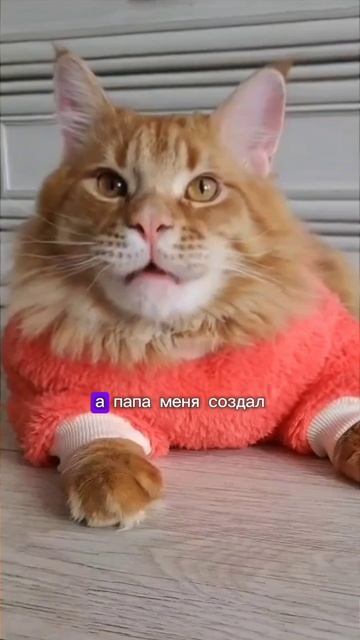 Создатель в бегах😅 #животных