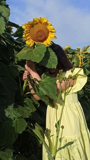 Фотосессия с подсолнухами