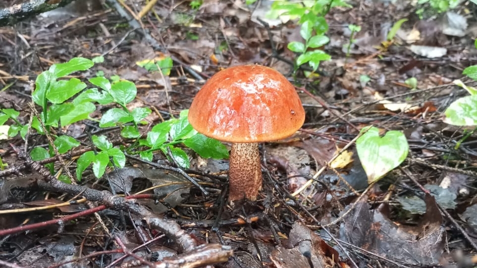 красиво❓❓❓ 20-08-2025