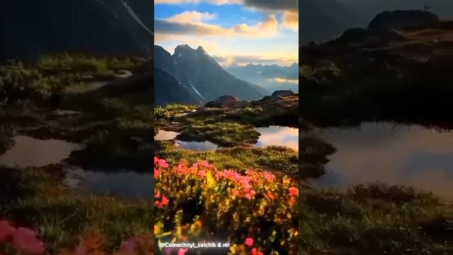 VID_20250820_164347_311.mp4