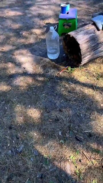 Вайб на природе ОН такой